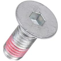 Ersatzteil - Riemenscheibenschraube - - arthur martin electrolux, faure Zanussi aeg, zanker, electrolux, domeos, arthur martin, ikea, juno, zoppas,