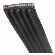 Ersatzteil - sos Accessoire Courroie 1049J4 pour Lave-linge Unic Line 1049J4, C00269086 - - far Unic Line unicline, rotel, arctic, nevada