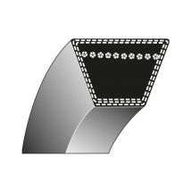 Escarificador de correa trapezoidal Gutbrod VS50 000.75.699