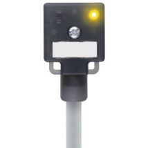 VA41-24.2-5/P01 8047822 - Escha