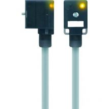 VBI21-24.3-5/P01 8047830 - Escha