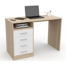 DORMIDAN Escritorio con 4 cajones – 110cm x 50cm x 76cm – Melamina alta calidad – Estilo moderno