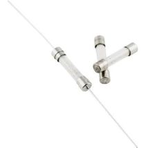 Eska 525623 Fusibile (ø X L) 5 Mm X 25 Mm 4 A 250 V Rapido Contenuto 10 Pz.