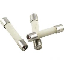 52727 Fusibile (ø x l) 5 mm x 25 mm 10 a 250 v Rapido Contenuto 10 pz. - Eska