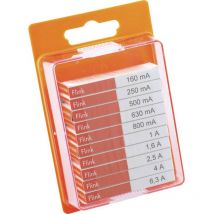 120.0.9 12009 Assortimento di mini fusibili (ø x l) 5 mm x 20 mm Rapido Contenuto 100 pz. - Eska