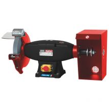 Femi - amoladora de banco combinada trifasica 1