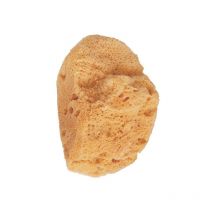 22227 esponja y cepillo de baño - Beter