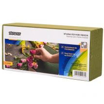 Esponja Stocker para flores frescas