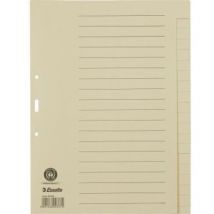 Ordnerregister DIN A4 blanko Papier chamois 20 Registerblätter