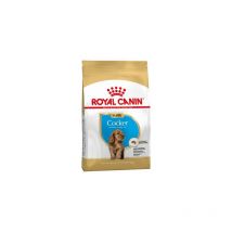 Essen Royal Canin Cocker Puppy (Junior) Cocker Rader Welpen (bis 12 Monate) - 3 kg