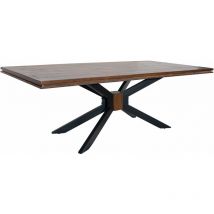 Esstisch Mango 210x107x76 Braun Lackiert Stilmöbel 121