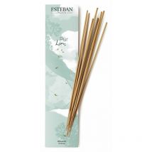 Paris 20 bastoncini incenso per ambiente pur lin profumo casa - Esteban