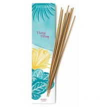 Paris incenso 20PZ per ambiente ylang ylang profumo casa - Esteban