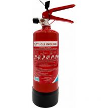 Firexo - Estintore (2 Liter) - Fire Extinguisher Per Casa, Auto, Cucina, Camper, Lavoro, Ristorante, Barca, Camino - Estintore a Polvere per Tutte Le