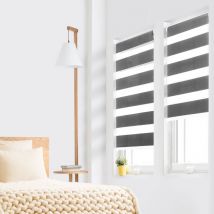 Idmarket - Juego de 2 estores enrollables cebra día/noche An.45 x Al. máx 170 cm gris