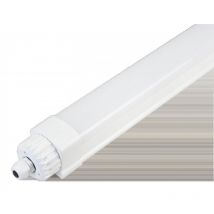 Ceotis - Etanche Izy Eco-S, 1,5M, 50W, 6000Lm, 4K, Ip65, Ik08, Gradation
