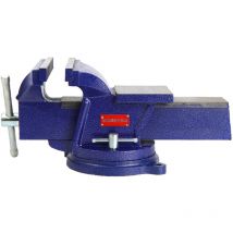 Workpro - Vis de Établi avec base de aspiration 100 mm - Brand ean : 6914280008158