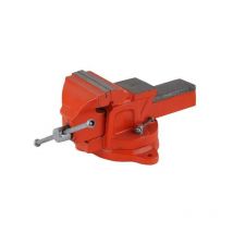 Etau pivotant en fonte 125 Doc 04507