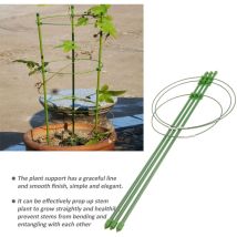 Feiyue - Etereauty Treillis de jardin pour plantes grimpantes Support de cage pour poivrons, aubergines, tomates, fleurs - 45 cm