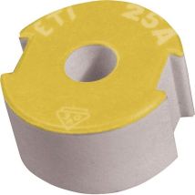 Diazed Passschraubeneinsatz DIII 50A – Baugröße D03 – 50A – Farbe Weiß