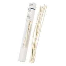 Etui de 6 brins en saule 21cm Aroma - Berger