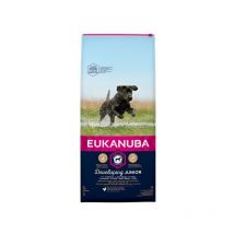 Eukanuba - Developing Junior Large Breed Chicken 12kg - 193107