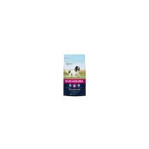 Spectrum - eukanuba Thriving Mature Medium Breed Rich In Fresh Chicken - 2kg - 420701