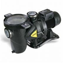 DAB Euroswim 100 M Pompe piscine