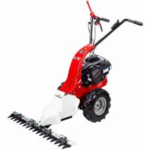 Eurosystems - Eurosystem M90 Motosegadora con motor Briggs & Stratton