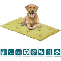 Evergreenweb - Letto per Cani 65x85 alto 8 cm Lavabile Materasso Multiuso per Animali Domestici Cuscino Ortopedico in Waterfoam Cuccia Tappeto Sofa