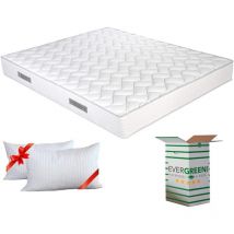 Evergreenweb - Materasso Matrimoniale 140x190 in Waterfoam alto 20 cm con coppia cuscini Memory Foam ortopedico, Rivestimento Bianco effetto