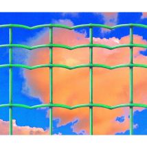 Everplax elektrogeschweißtes verzinktes plastifiziertes Netz mm.100x50 h 100 - Wohnzimmer