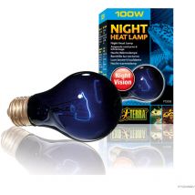 Bombilla Night Heat para reptiles Exo Terra 100W