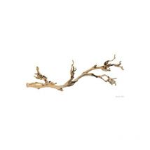Exo Terra Rama Forest Branch L 60 cm