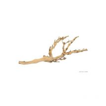 Rama Forest Branch m 45 cm - Exo Terra