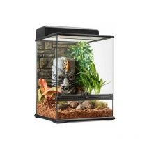 Askoll - Exo Terra Terrario Tiki-Peq-Tall - ref. PT2597