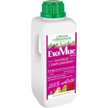 ExoMue Favorise l'emplumement oiseaux exotiques
