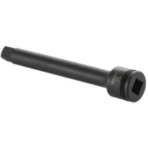 Rallonge Expert E113488