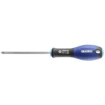 Expert Screwdriver Pz1x100