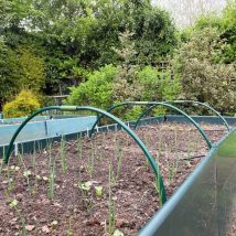 Extendable Metal Garden Tunnel Hoops for Netting & Grow Houses - Small, Pack of 4