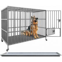 Bingo Paw - BingoPaw Large Heavy Duty Pet Dog Cage Strong Metal Crate Kennel Playpen with Wheels & Tray, Large 38 inch