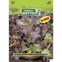 Lattuga Rossa a Foglia Riccia da Taglio – Semi di Ortaggi – Peso 0,07 kg, Larghezza 19 cm, Lunghezza 12 cm