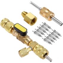Lauwexe - Extracteur/Installateur de Noyau de Valve - Vanne de Déconnexion en Laiton sae 1/4 et 5/16 (R12 R22 R410A)