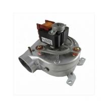 Extractor de humos Biasi M295.24