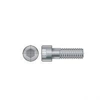 Fabory - M8x10 Socket Head Cap Screw A2 (GR-70) (PK-100)