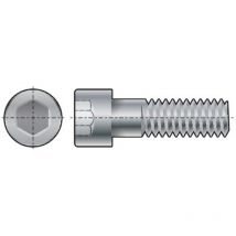 M14x45 Socket Head Cap Screw (GR-12.9) (PK-50) - Fabory