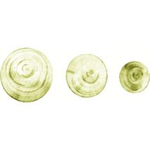 Aspot - Flicke 15 mm Fichte KRT.=100 st - Facett