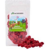 Herbs Framboises lyophilisées - friandise pour rongeurs et lapins - 10g - Factory