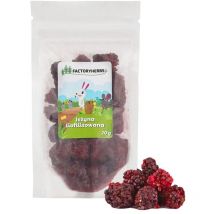 Herbs Mûre lyophilisée - friandise pour rongeurs et lapins - 20g - Factory