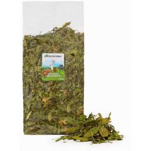 Herbs Spitzwegerichblätter - Leckerbissen für Nagetiere und Kaninchen - 300g - Factory